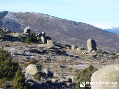 Senderismo Sierra de la Cabrera; madera tejo; ruta de senderismo madrid